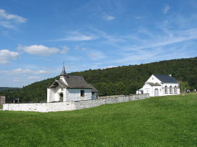 Goutez la nature de l'Ardenne belge