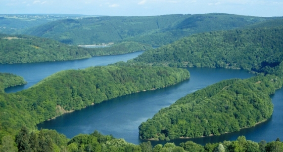 Parc National de l'Eifel