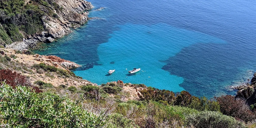 Corse